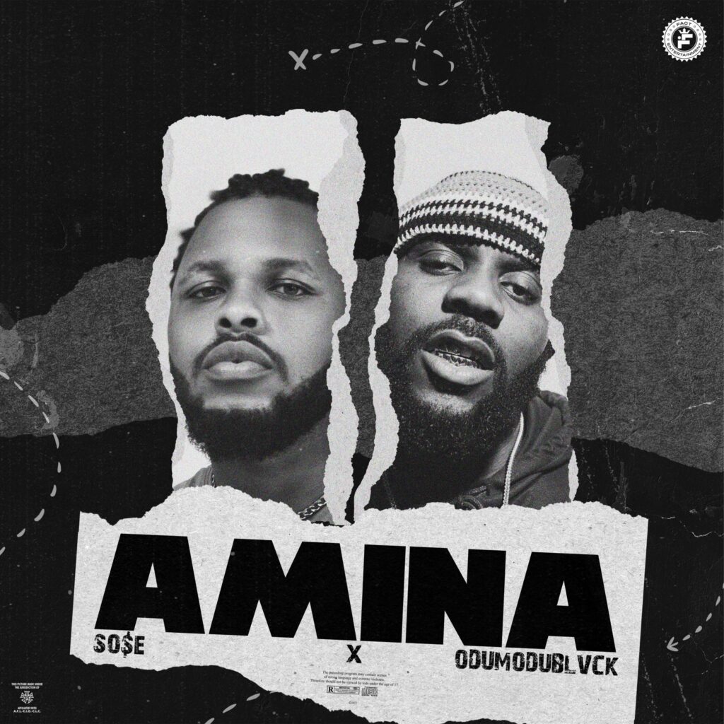 SO$E Amina cover art.