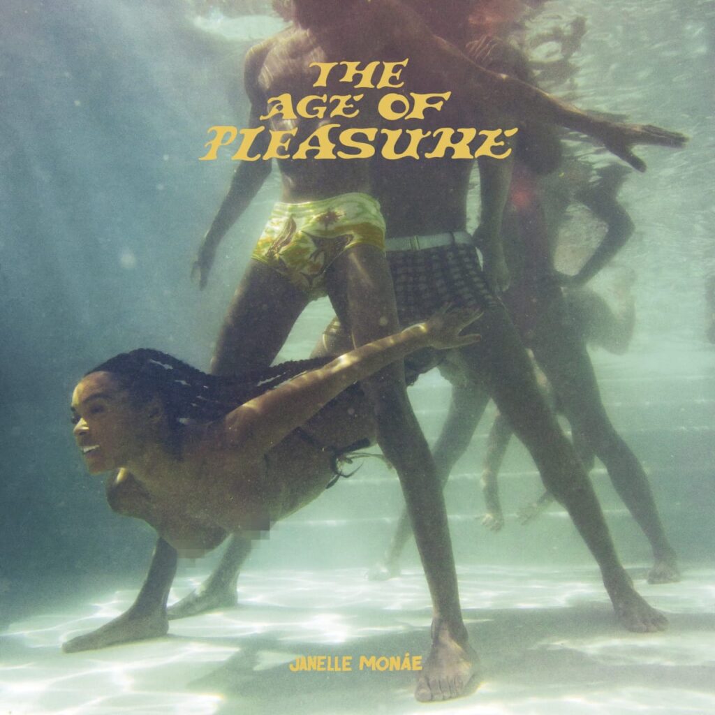 Album Cover For 'The Age of Pleasure'