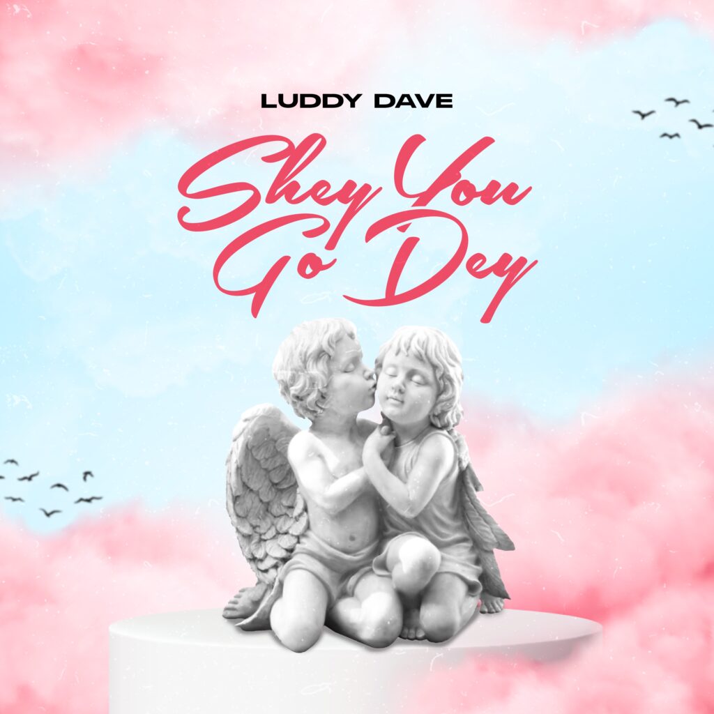 Luddy Dave “Shey You Go Dey” cover​