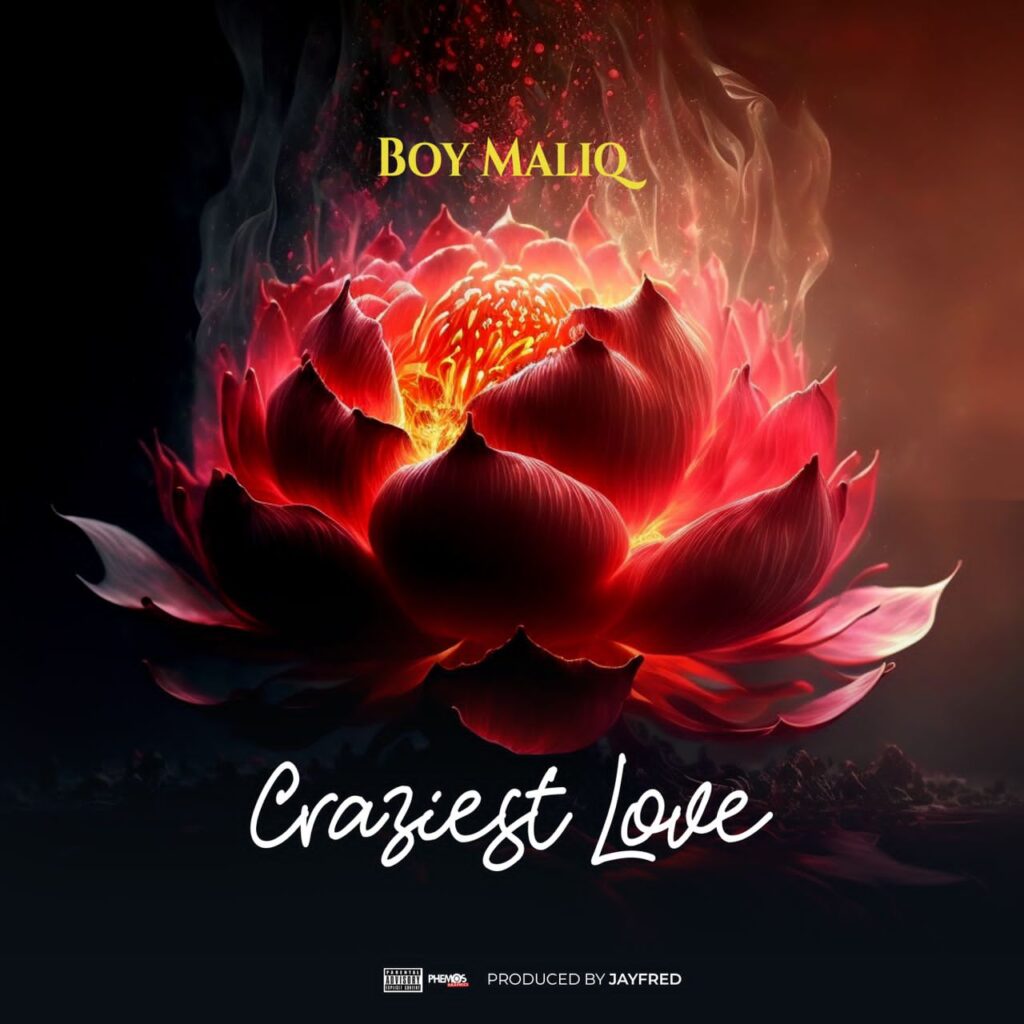 "Craziest Love" Cover Art