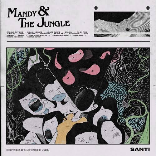 Mandy & The Jungle Album Art