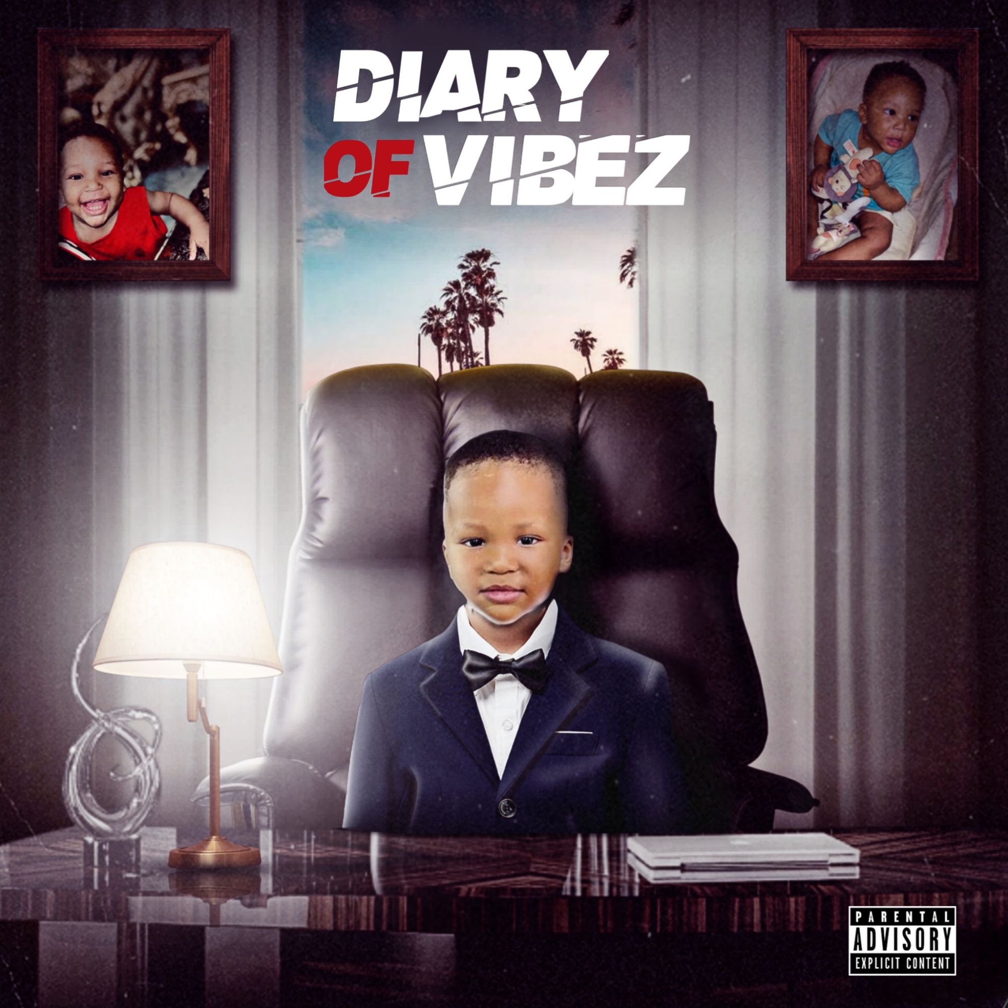 "Diary Of Vibez" Cover