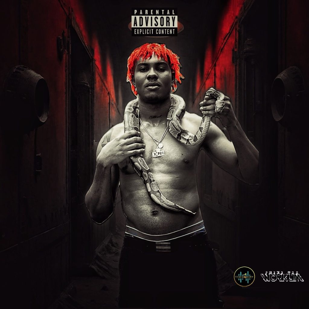 Song Cover