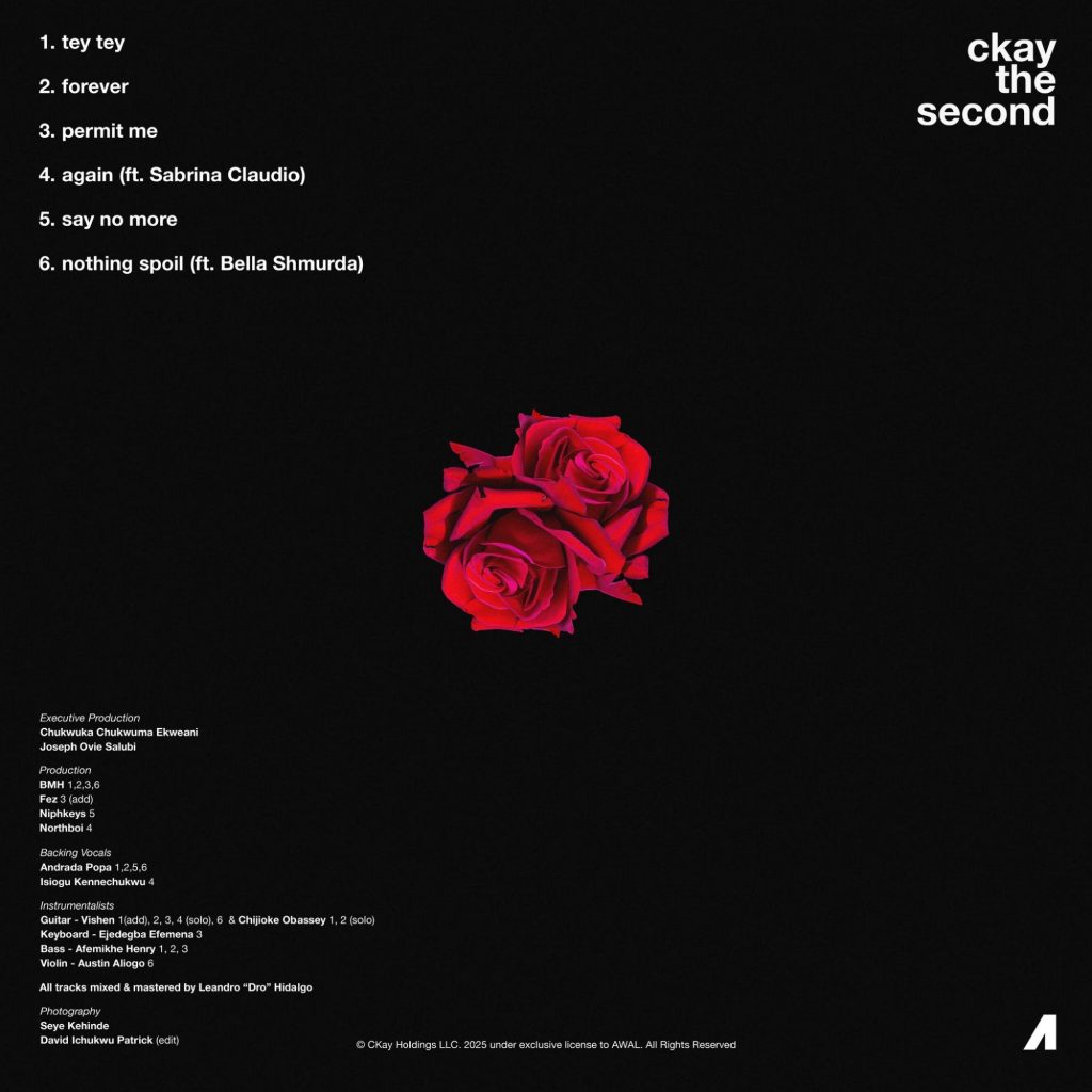 "CKay The Second" Tracklist