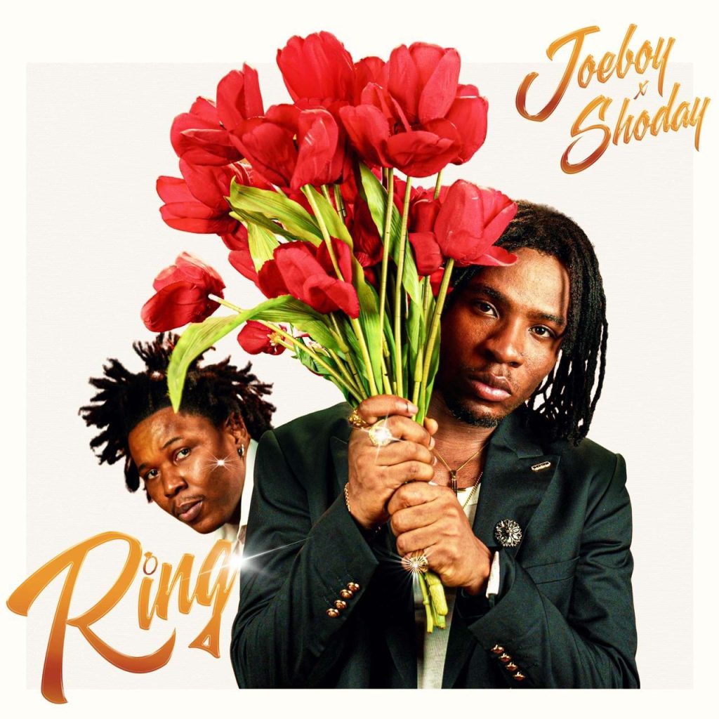 Song Cover